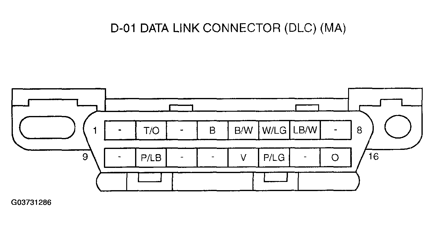 G03731286
