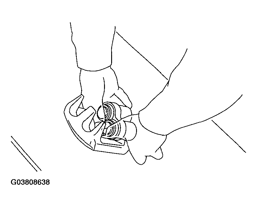 G03808638