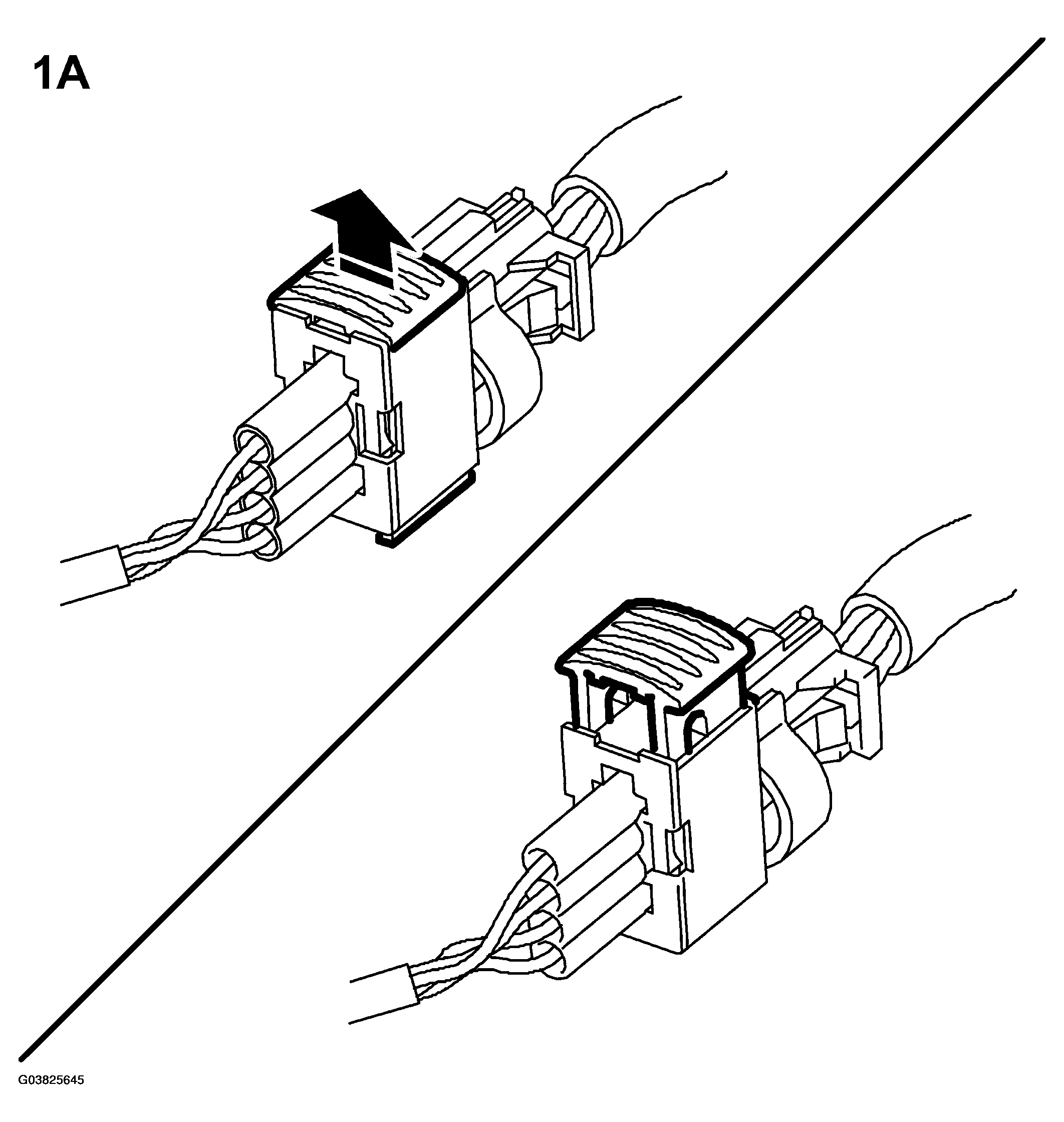 G03825645