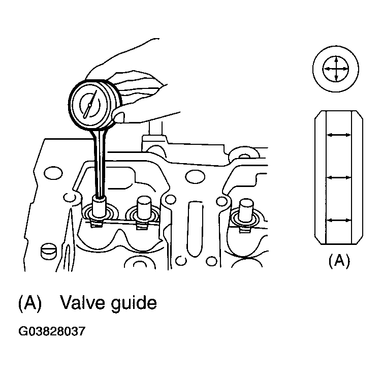 G03828037