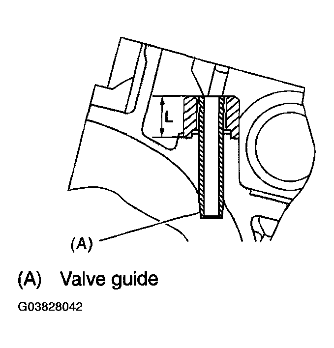 G03828042