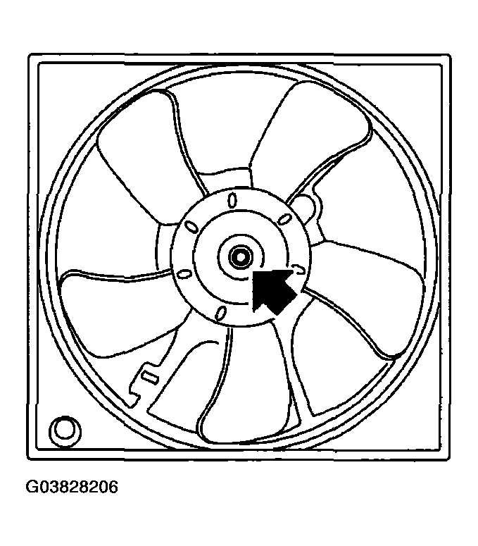 G03828206