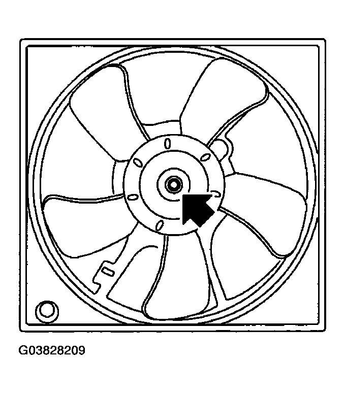 G03828209