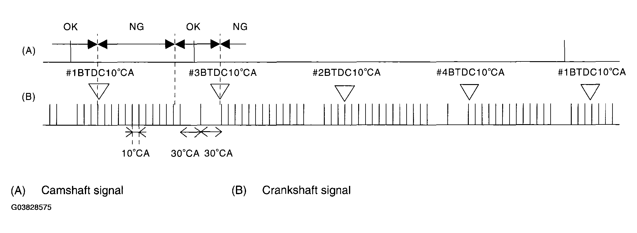 G03828575