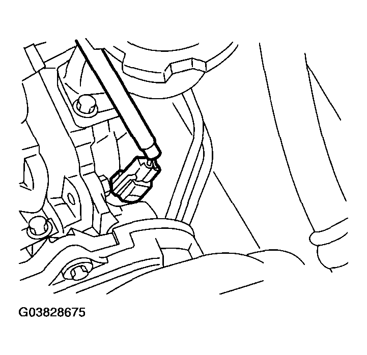 G03828675