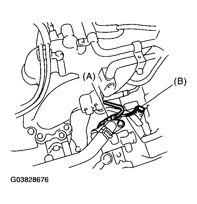 G03828676