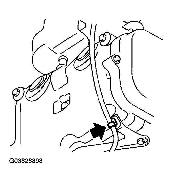 G03828898