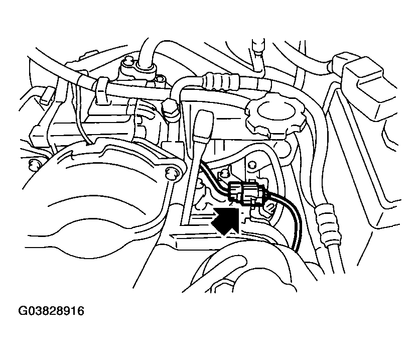G03828916