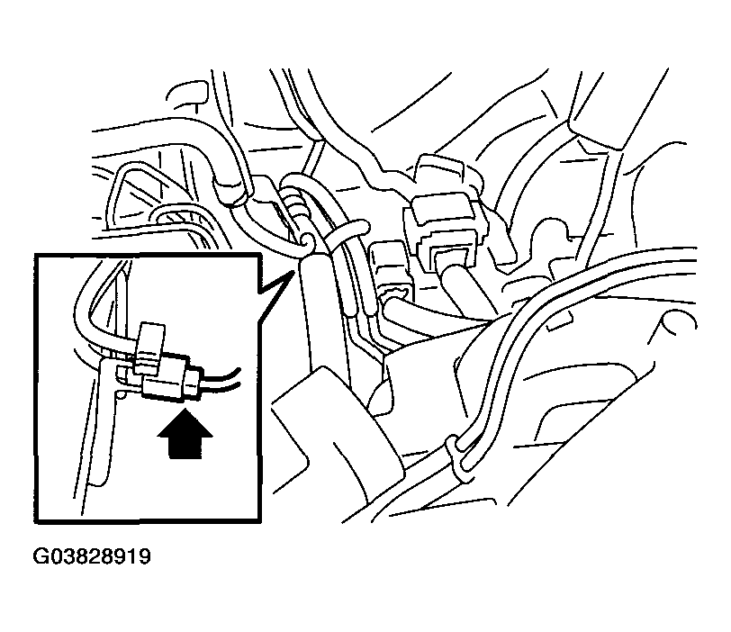 G03828919