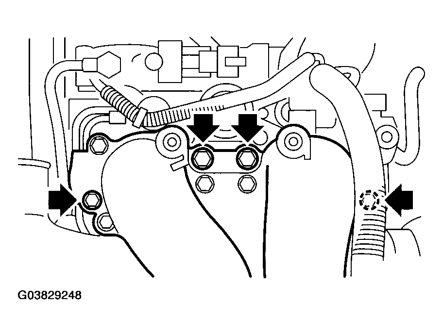 G03829248