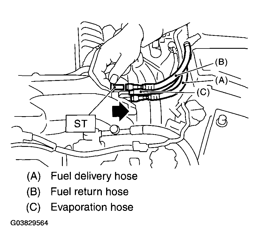 G03829564