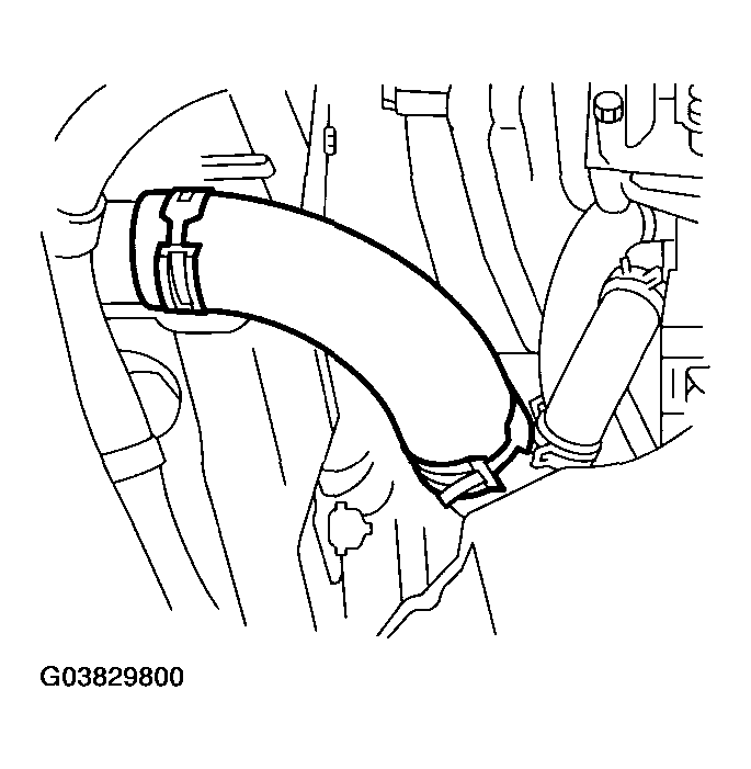 G03829800