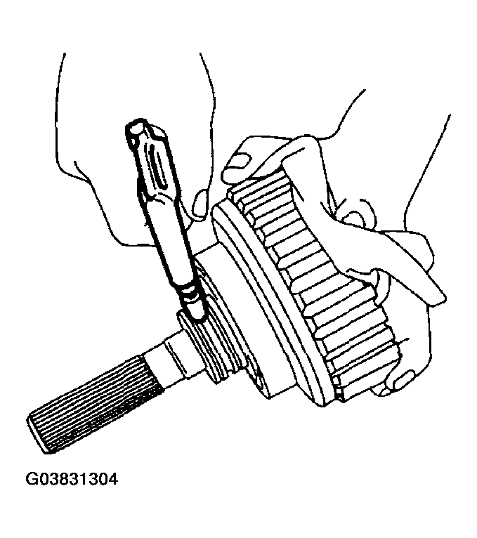 G03831304