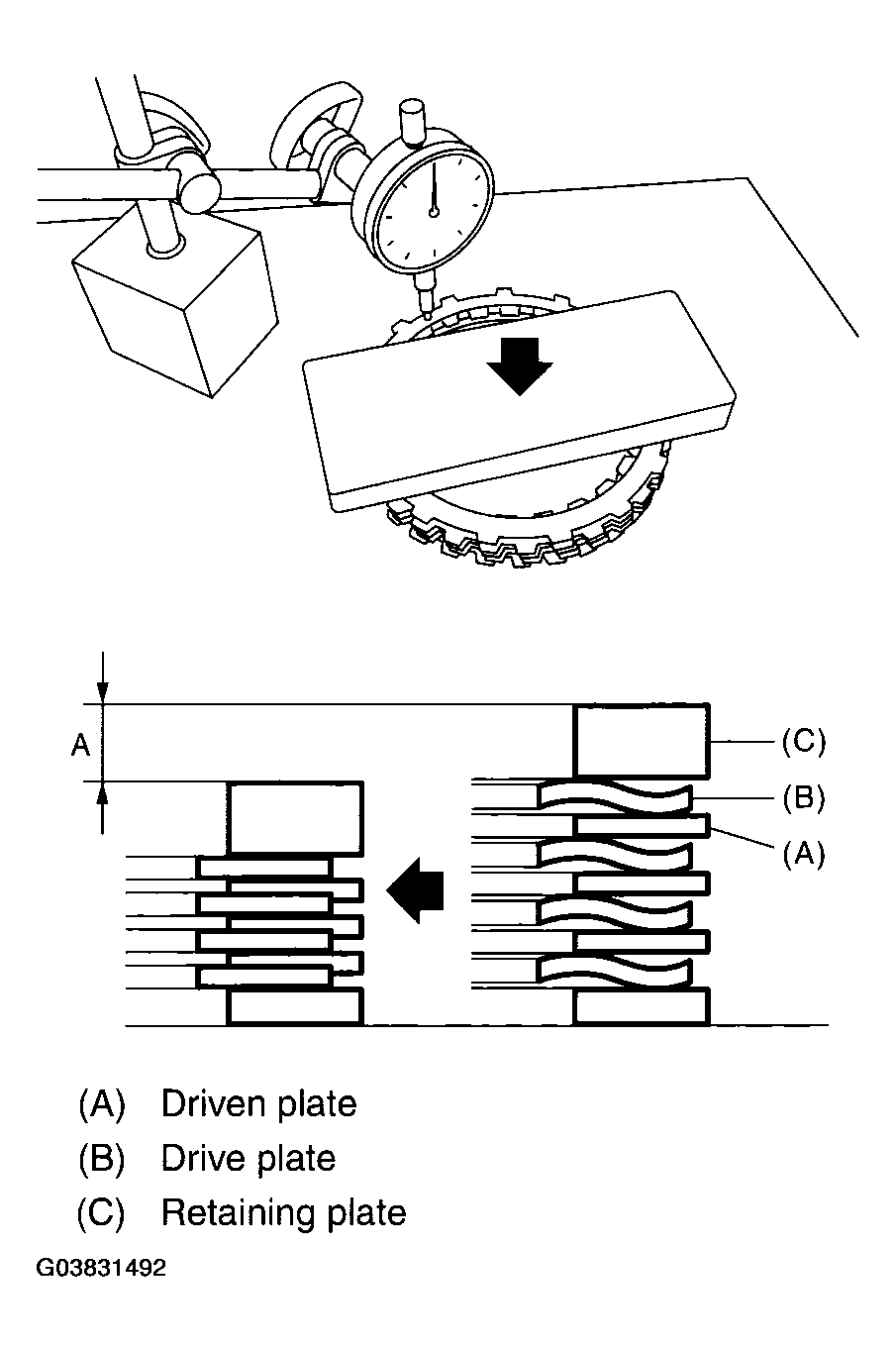 G03831492