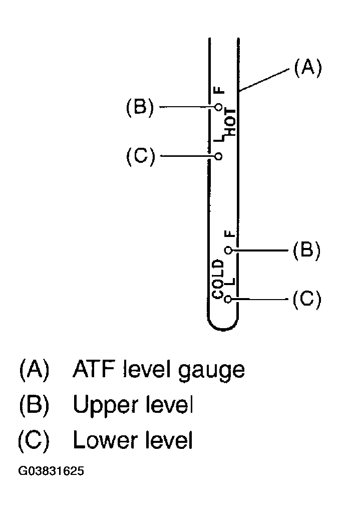 G03831625