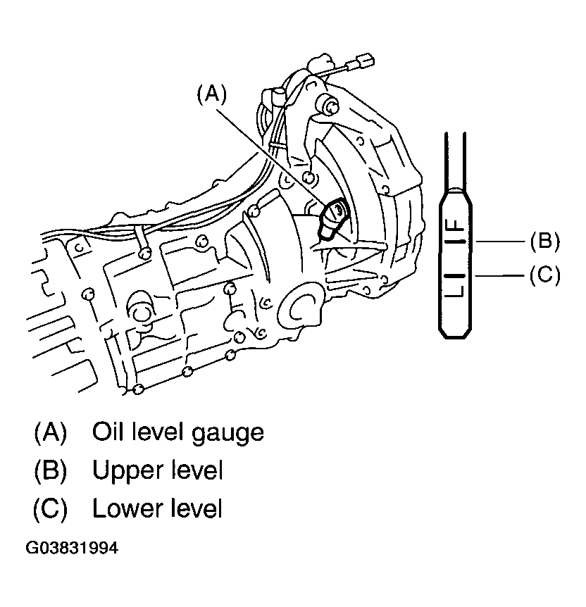 G03831994