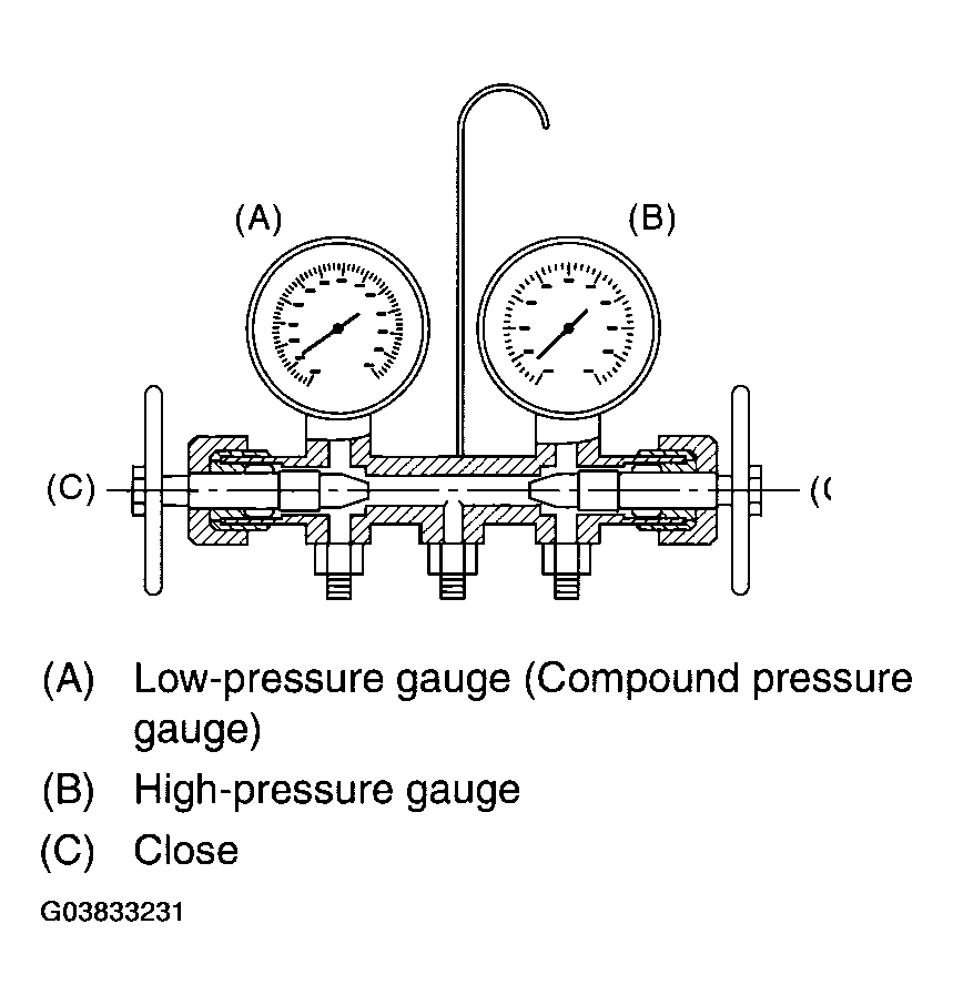 G03833231