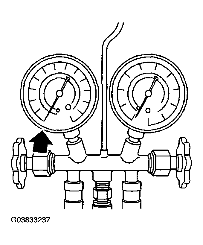 G03833237
