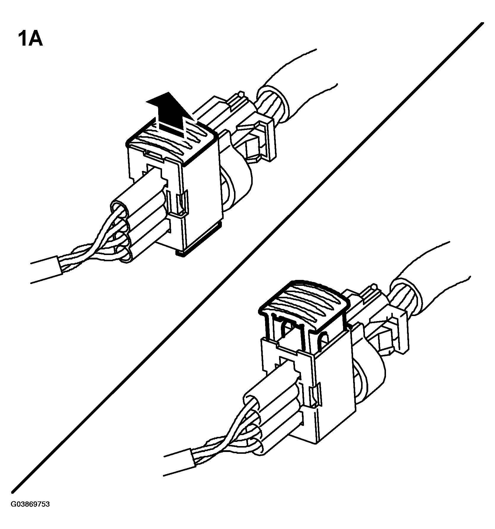 G03869753