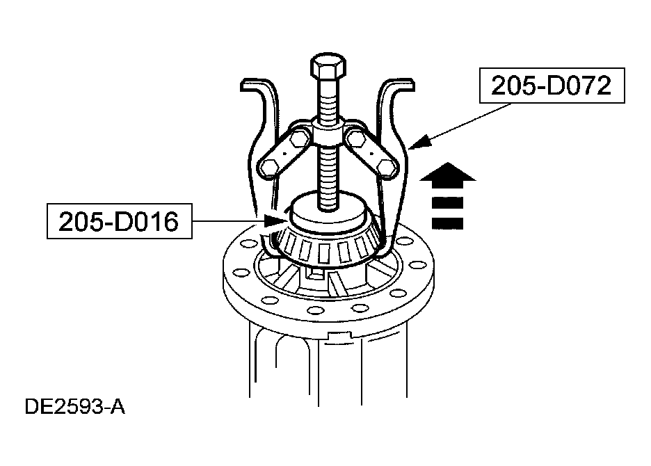 G03878548