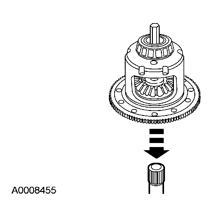 G03883886
