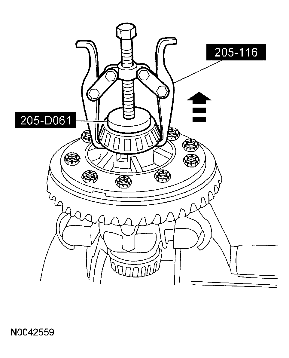 G03884161