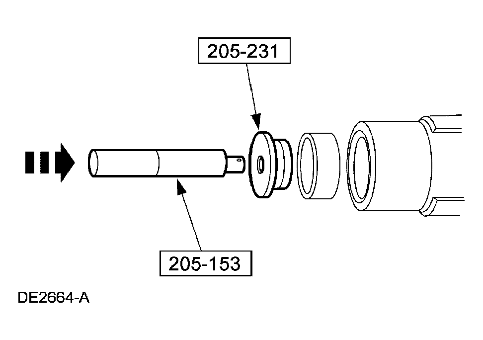 G03884338