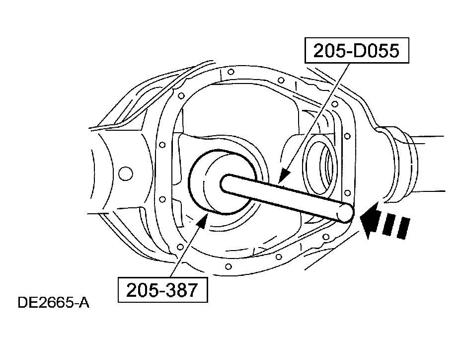 G03884339