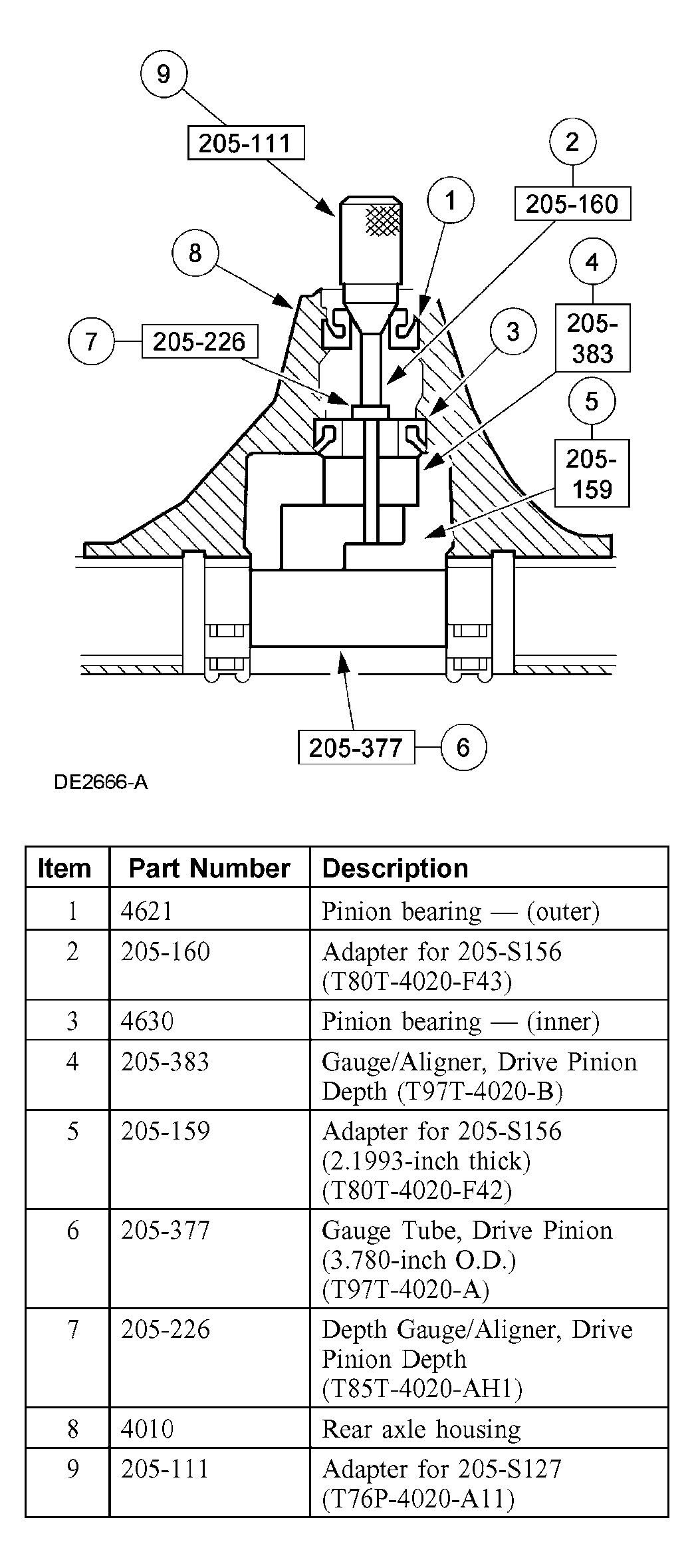 G03884341