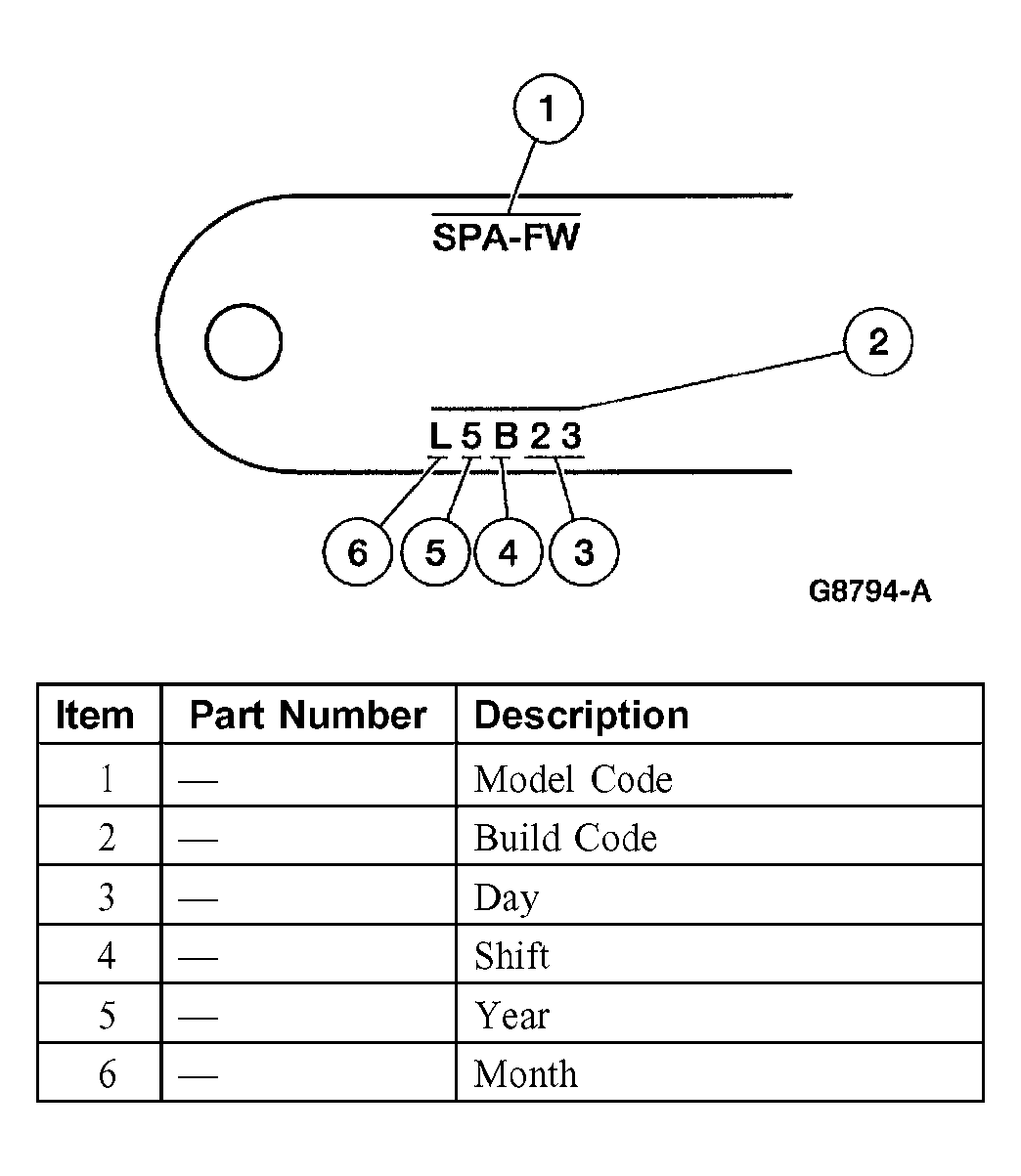 G03884773