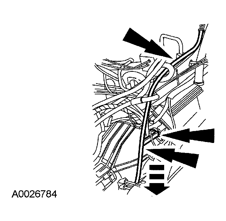 G03888986