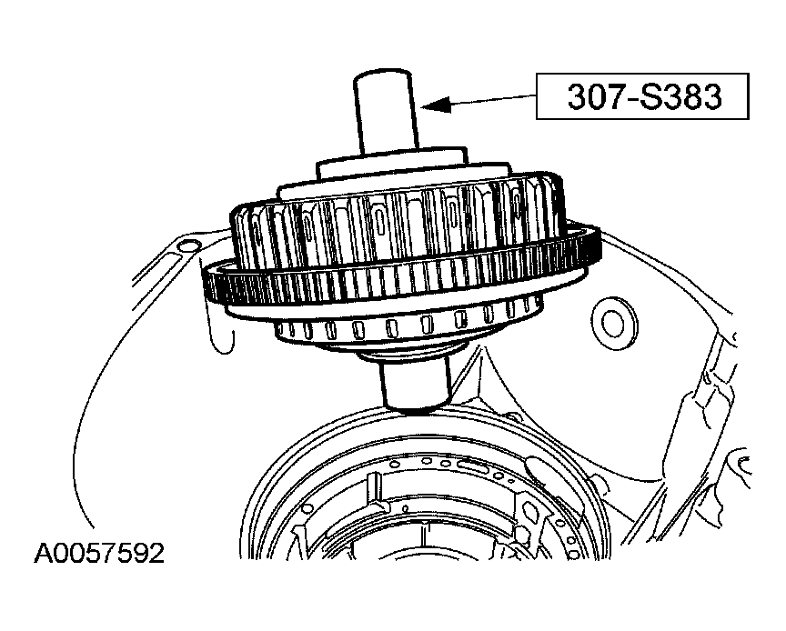 G03889300