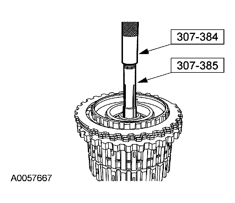 G03889434