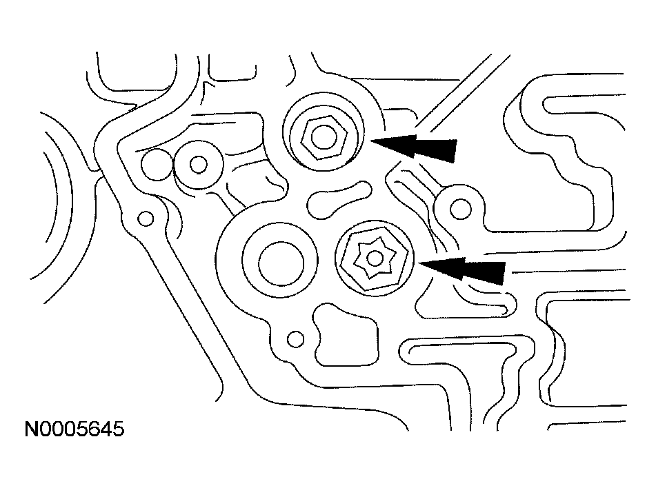 G03889557