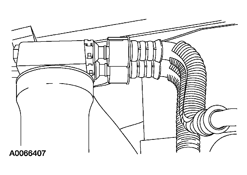 G03889685