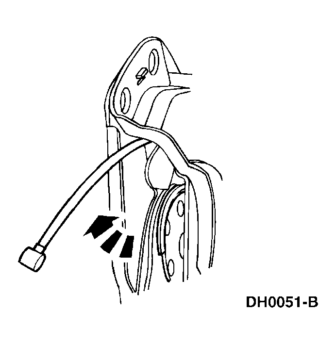 G03891504