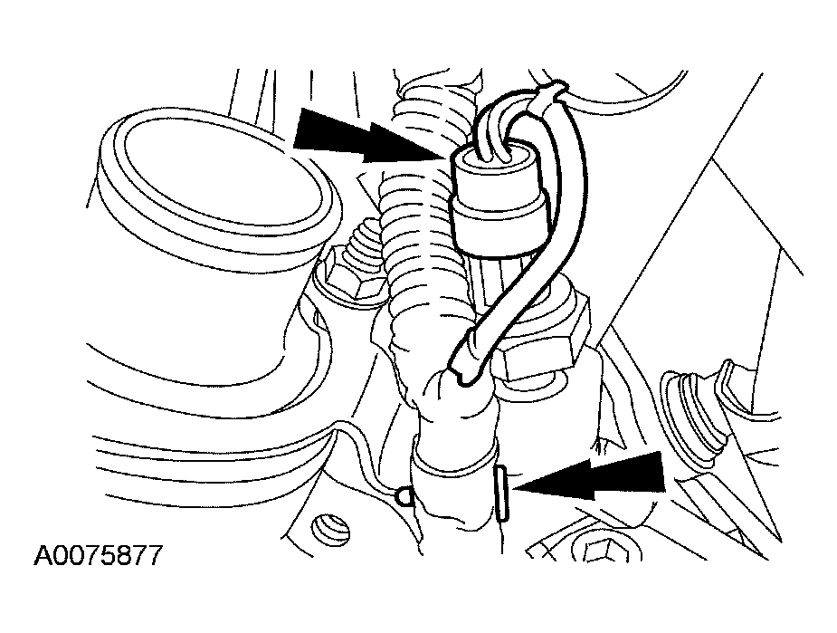 G03899110