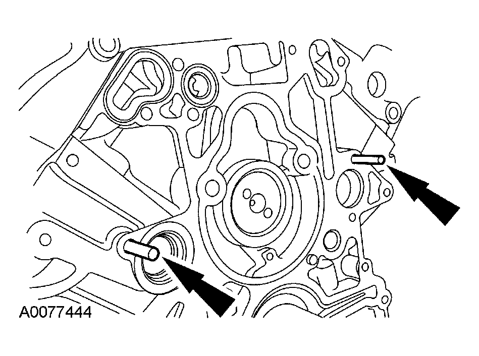 G03899219