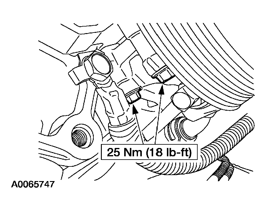 G03900218