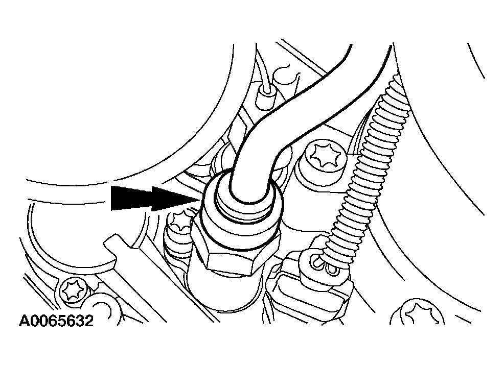 G03900255