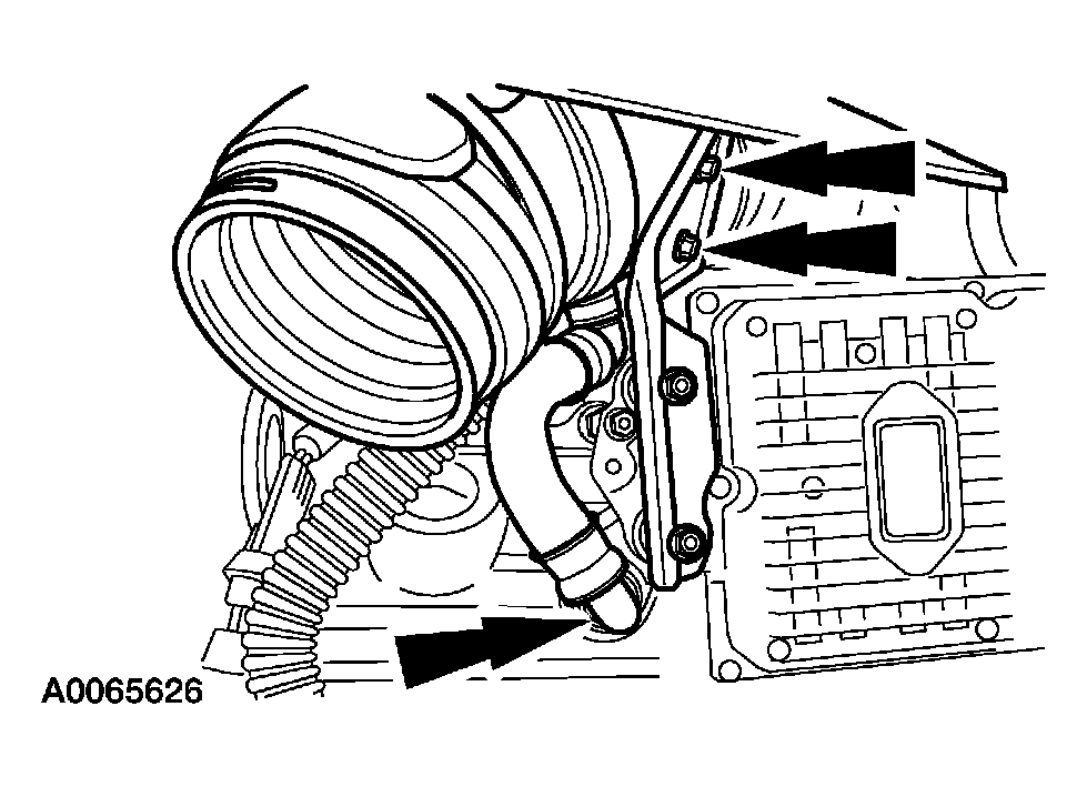 G03900264