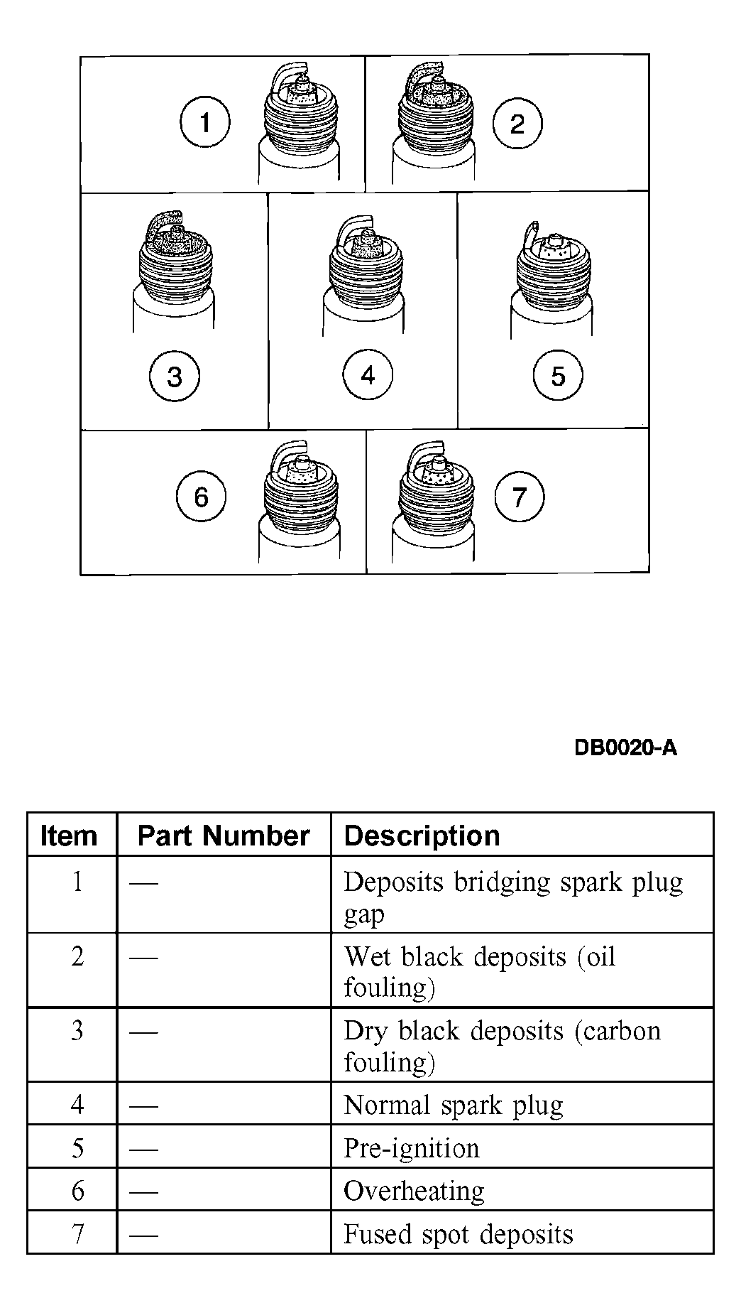 G03900436