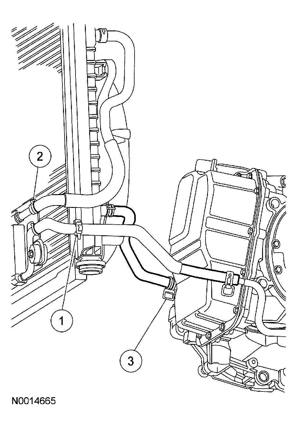 G03900623
