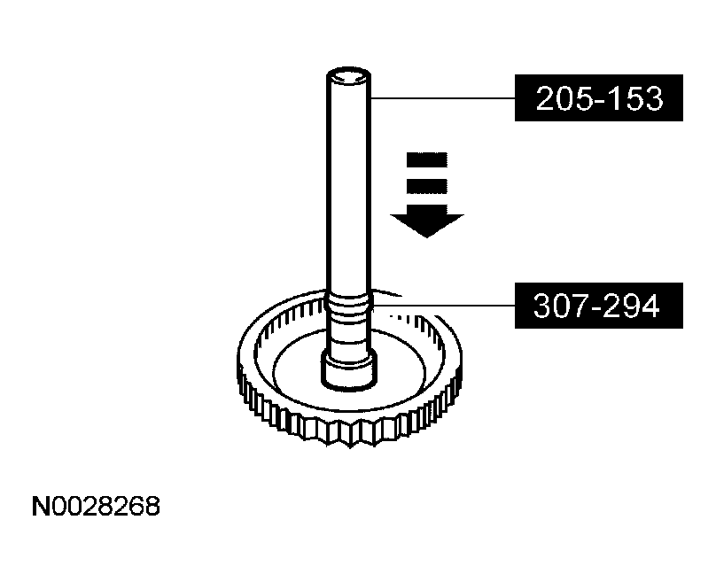 G03900944