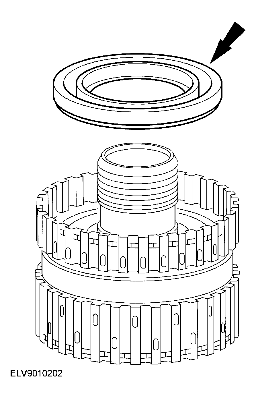 G03901006