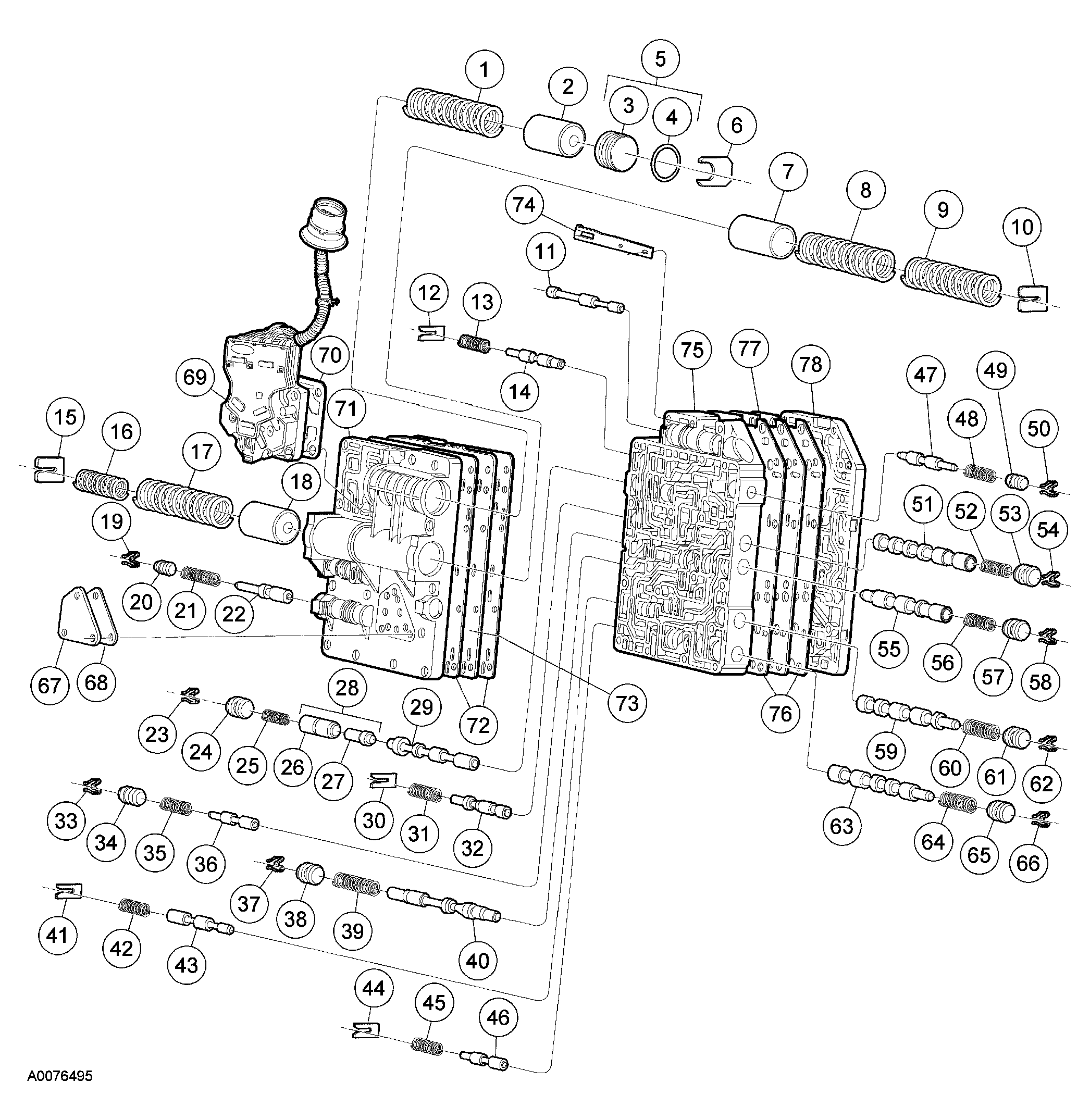 G03901061