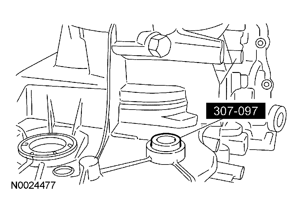 G03901117