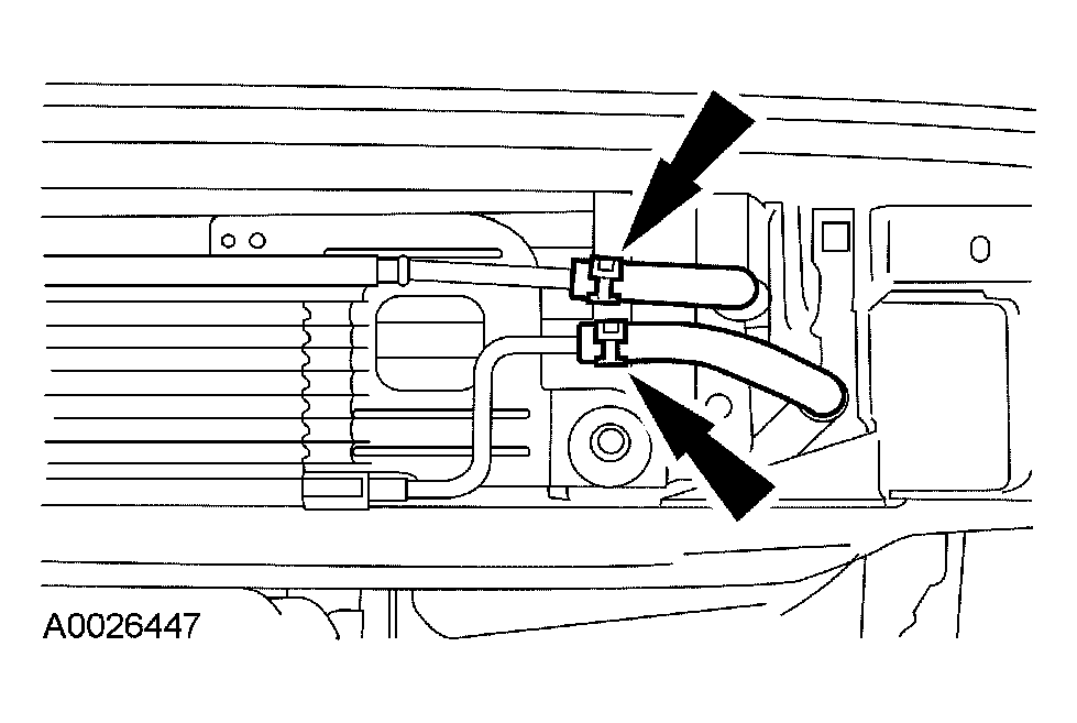 G03901555
