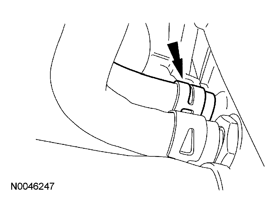 G03901561