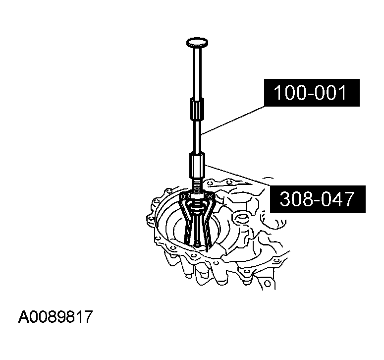G03901764